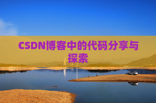 CSDN博客中的代码分享与探索